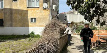 Sinop’ta şüpheli çanta paniği