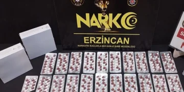 Erzincan’da 285 adet sentetik hap ele geçirildi