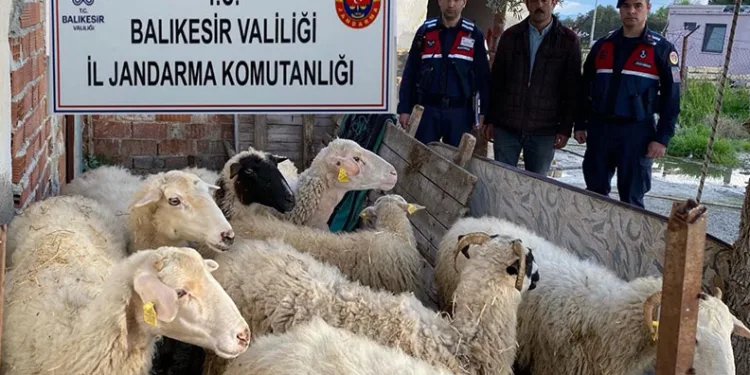 Jandarma EFT dolandırıcılarını yakaladı