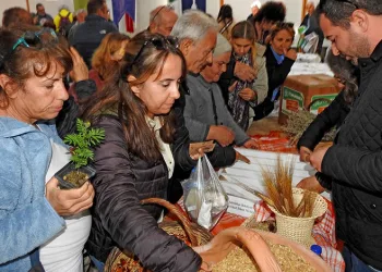 Çeşme’de Yerel Tohum Takas Şenliği