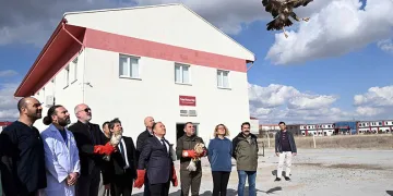 Tedavisi tamamlanan yırtıcı kuşlar doğaya salındı