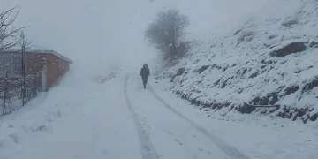 Tunceli’nin yüksek kesimlerinde kar yağışı etkili olmaya başladı