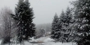 Sakarya ve Kocaeli’ye kar yağdı