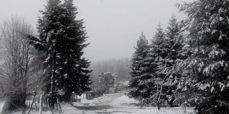Sakarya ve Kocaeli’ye kar yağdı