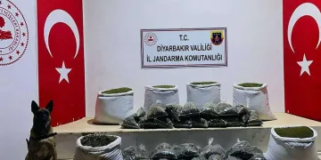 Lice’de 226 kilo uyuşturucu ele geçirildi