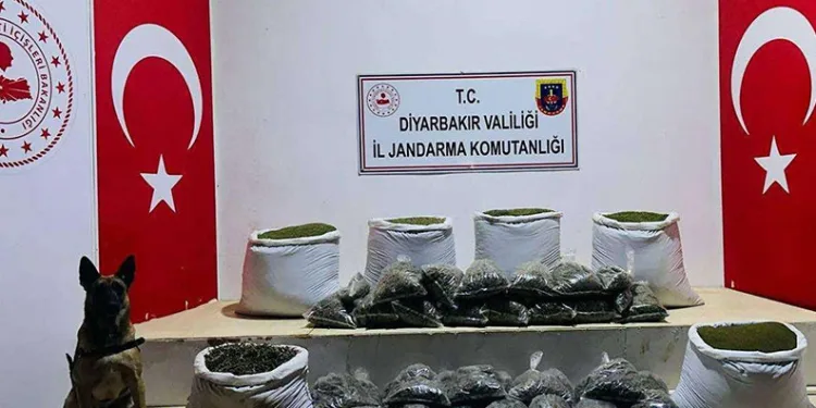 Lice’de 226 kilo uyuşturucu ele geçirildi