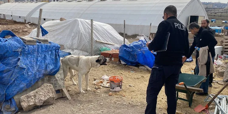 Köpeğin ısırdığı çocuk ağır yaralandı