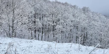 Kırklareli’nin yüksek kesimlerinde kar etkili oldu