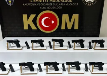 Elazığ’daki silah ticareti operasyonunda 1 tutuklama