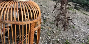 Muş’ta 1 kişiye 16 bin 121 TL para cezası kesildi