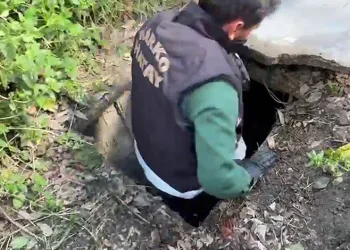 Sığınakta kurduğu sistemle kenevir yetiştirdi
