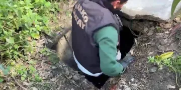Sığınakta kurduğu sistemle kenevir yetiştirdi