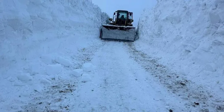Van’da mahalle yoluna çığ düştü