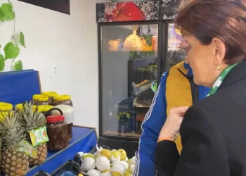 Akşener, gezdiği Gönen’de turşu ve asma yaprağı satın aldı