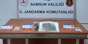 Jandarma tarafından uyuşturucuyla yakalanan şahıs tutuklandı