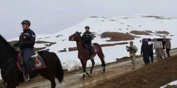 Van’da 199 düzensiz göçmen yakalandı