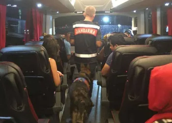 Sahte seyahat belgesi ile seyahat eden 7 düzensiz göçmen yakalandı