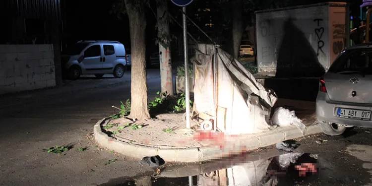 Tanımadığı kişiyi bıçaklayarak öldüren sanığa müebbet hapis talebi