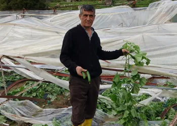 Hortum seraları yerle bir etti
