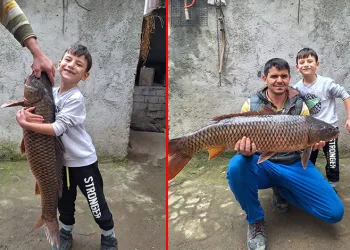 İznik Gölü’nde 25 kiloluk sarı balık yakalandı