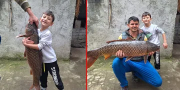 İznik Gölü’nde 25 kiloluk sarı balık yakalandı