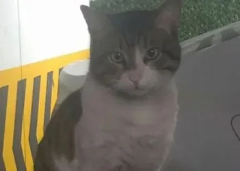 Eros davasında karara tepki