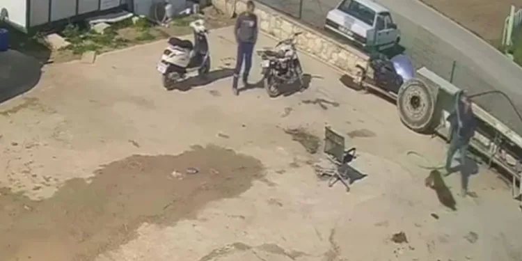 Aracına saldırdı diye köpeği hortumla dövdü