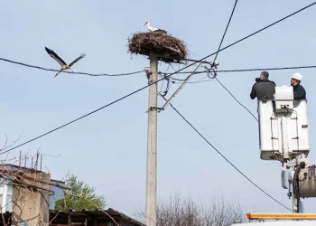 Yaren leyleğin köyünde bahar temizliği