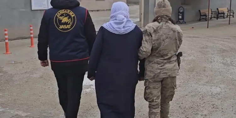 Ağrı’da firari olan 9 kişi jandarma tarafından yakalandı
