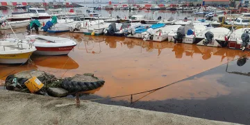Turuncu renk ve denizanası istilası yayılıyor