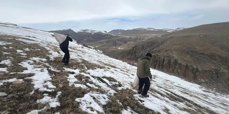 Kars’ta yaban hayvanları için doğaya yem bırakıldı