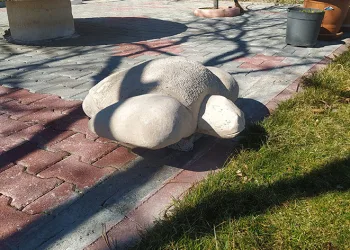 Hayalleri dokunuşlarıyla taş kesiliyor