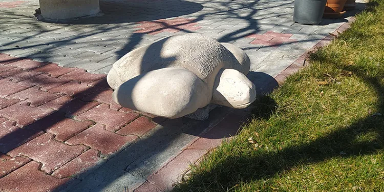 Hayalleri dokunuşlarıyla taş kesiliyor