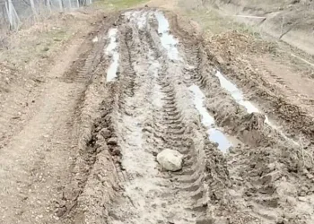 Lavanta üreticisi bozuk olan yolun yapılmasını istiyor