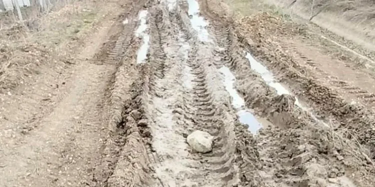 Lavanta üreticisi bozuk olan yolun yapılmasını istiyor