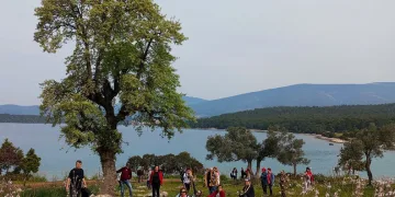 Doğaseverler, kıyı kirliliğine dikkat çekti