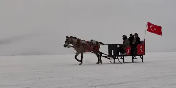 Çıldır Gölü’nde atlı kızak keyfi