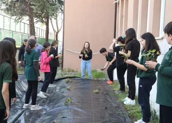 Öğrenciler, çilek ve marul dikerek tarımla tanıştı