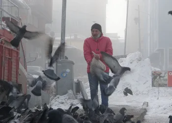 Aç kalan güvercinleri esnaf besliyor