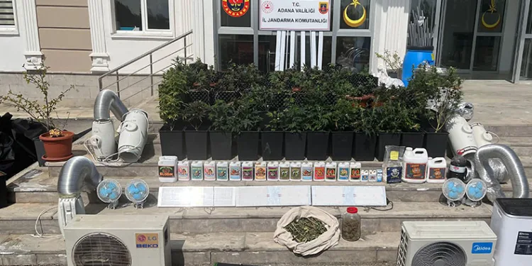 İklimlendirme sistemiyle uyuşturucu üretilen evlere baskın