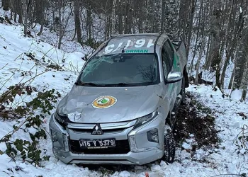 Kontrolden çıkan kamyonet şarampole yuvarlandı