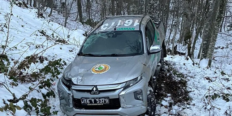 Kontrolden çıkan kamyonet şarampole yuvarlandı
