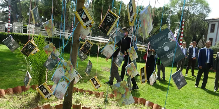 Muğla’da bu bahar ağaçlar kitap açtı