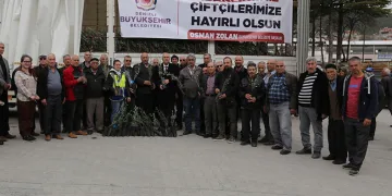 Çamelili çiftçilere 5 bin adet zeytin fidanı dağıtıldı