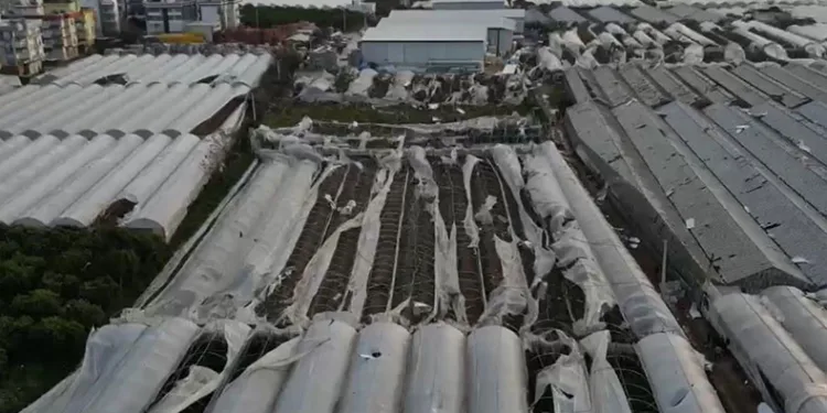 Antalya’da hortum felaketi