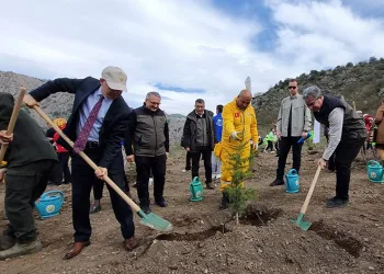“Türkiye en çok ağaçlandırmada Avrupa’da 1. sırada”