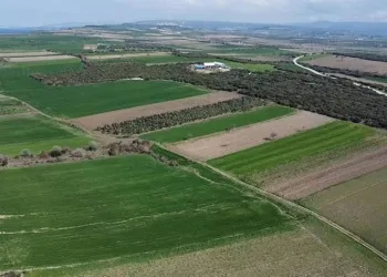 Çanakkale Savaşları’ndan kalma yeni bir şehitlik alanı tespit edildi
