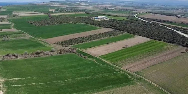 Çanakkale Savaşları’ndan kalma yeni bir şehitlik alanı tespit edildi