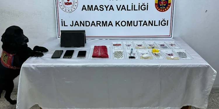 Jandarmadan uyuşturucu operasyonu
