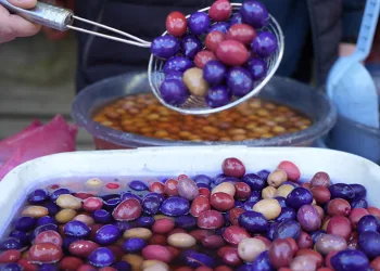 70 ilin yöresel ürünleri halkla buluşuyor